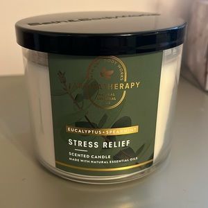 Eucalyptus & Spearmint Stress Relief Scented Candle. 3 wick